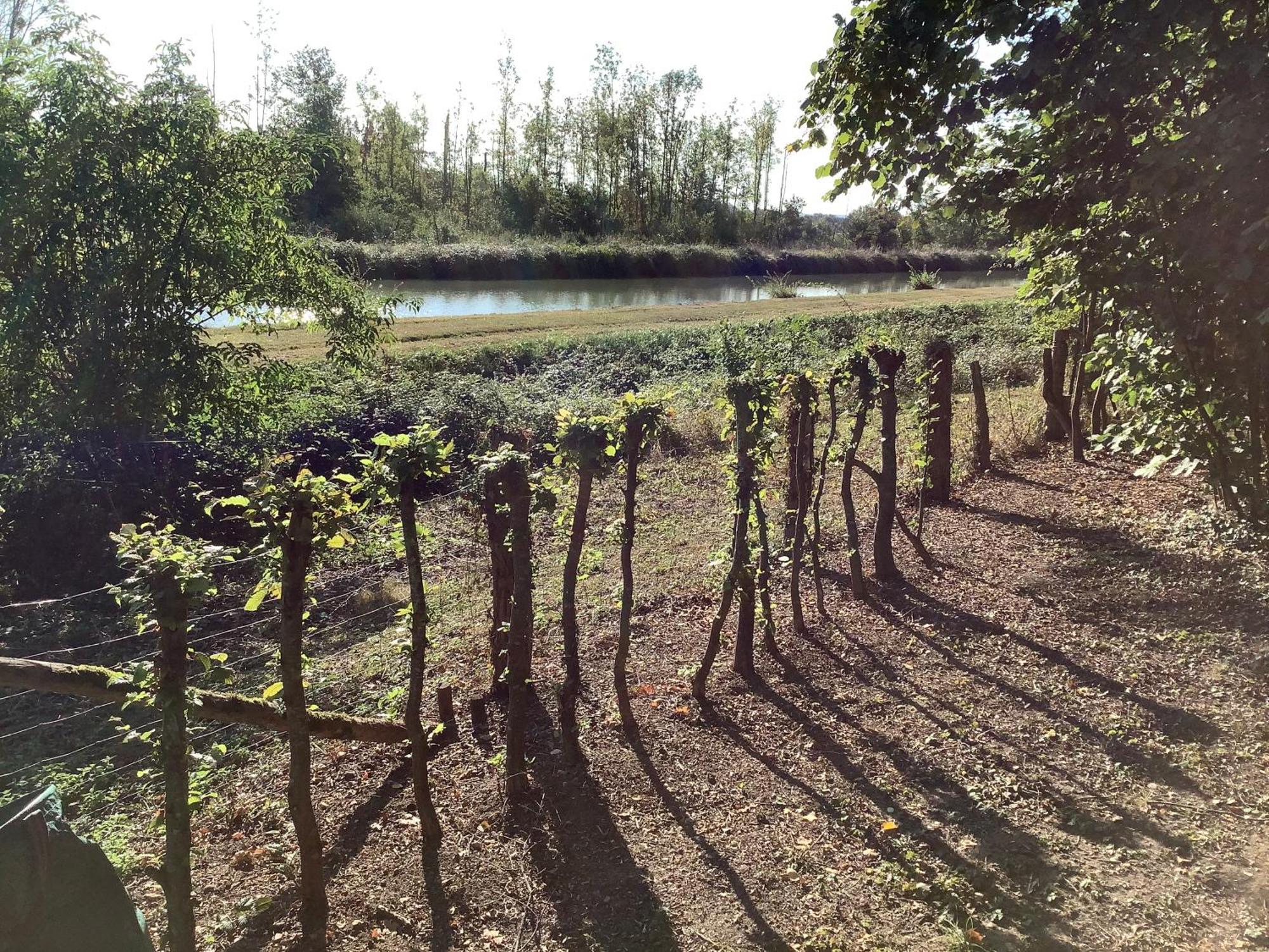 Autour Des Vignes B&B Herry Экстерьер фото